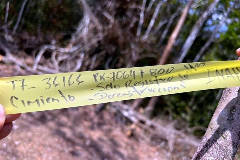 El arqueólogo Cortés de Brasdefer ha documentado cintas con la orden de destrucción de estructuras que no serán rescatadas a lo largo del tramo 7 del Tren Maya.