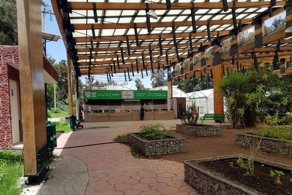 El huerto se ubica dentro de la Ciudad Deportiva de la Magdalena Mixhuca.