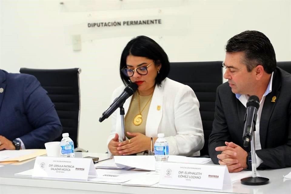 Raúl Ramírez, presentó una denuncia en contra de Úrsula Patricia Salazar Mojica, sobrina del Presidente AMLO, y seis diputados.