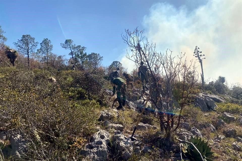 El incendio forestal se registra en el municipio de Miquihuana, en el Altiplano tamaulipeco.