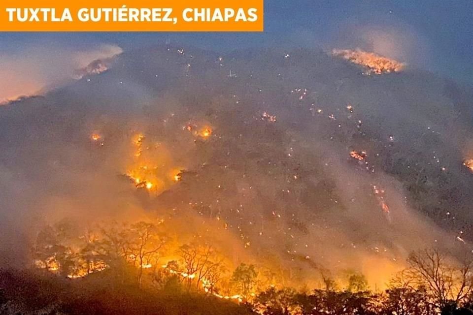 Hasta ayer, México registraba 120 incendios forestales activos en 19 estados, afectando a más de 7 mil hectáreas, según reporte de Conafor.