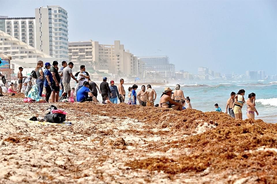 Turistas señalan que el olor del sargazo pudriéndose hace imposible disfrutar las playas del Caribe.