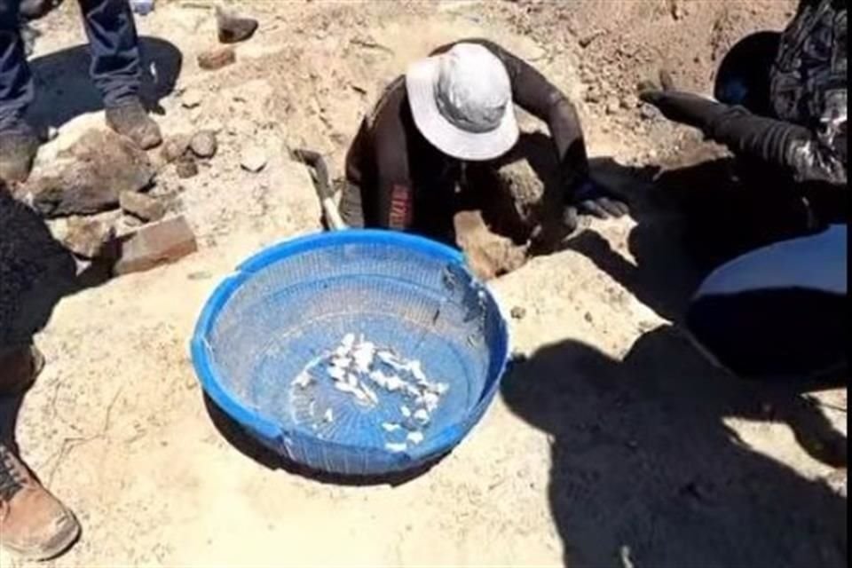 El colectivo Guerreros Buscadores de Jalisco difundió imágenes de una columna de humo emanada desde el Rancho Izaguirre y fueron presentadas como evidencia.