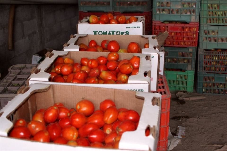 El Gobierno estadounidense impuso un arancel de 17.09 por ciento a los tomates importados desde México, tras cancelar un acuerdo que evitaba tarifas para ese producto.