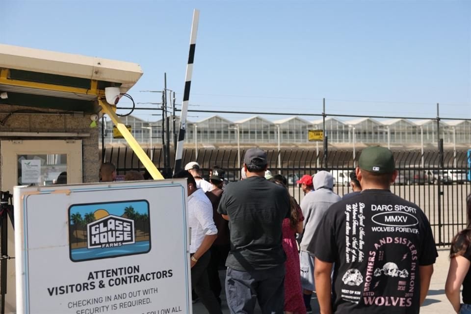 Autoridades de inmigración de EU informaron que arrestaron a 200 migrantes en redadas realizadas en dos granjas de cannabis de California.