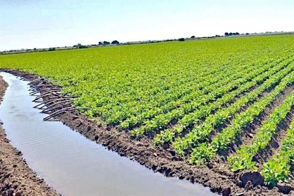 Productores agrícolas realizaron varios bloqueos desde hace semanas, y amagan con más, para que la nueva Ley de Aguas sea aprobada con modificaciones que ellos necesitan.