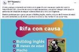articulo relacionado