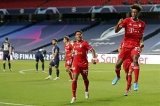 articulo relacionado