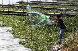 articulo relacionado