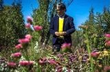 articulo relacionado