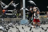 articulo relacionado