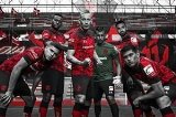 articulo relacionado