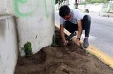 articulo relacionado