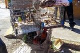 articulo relacionado