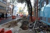 articulo relacionado