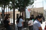 articulo relacionado
