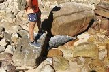 articulo relacionado