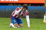 articulo relacionado