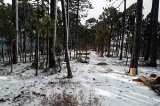 articulo relacionado