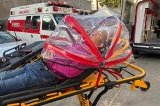 articulo relacionado