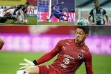 articulo relacionado