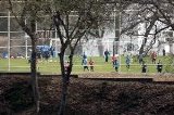 articulo relacionado