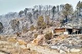 articulo relacionado