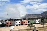 articulo relacionado