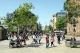 articulo relacionado