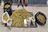 articulo relacionado