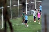articulo relacionado