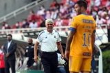 articulo relacionado