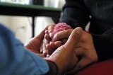 articulo relacionado