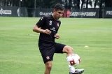 articulo relacionado