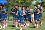 articulo relacionado
