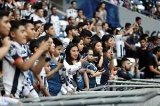 articulo relacionado
