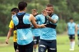 articulo relacionado