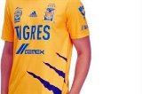 articulo relacionado