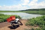 articulo relacionado