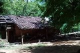 articulo relacionado