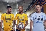 articulo relacionado