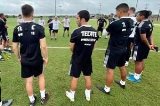 articulo relacionado