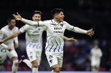 articulo relacionado