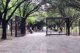 articulo relacionado