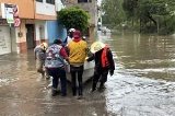 articulo relacionado