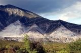 articulo relacionado