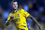 articulo relacionado