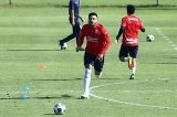 articulo relacionado