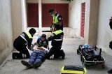 articulo relacionado