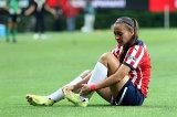 articulo relacionado